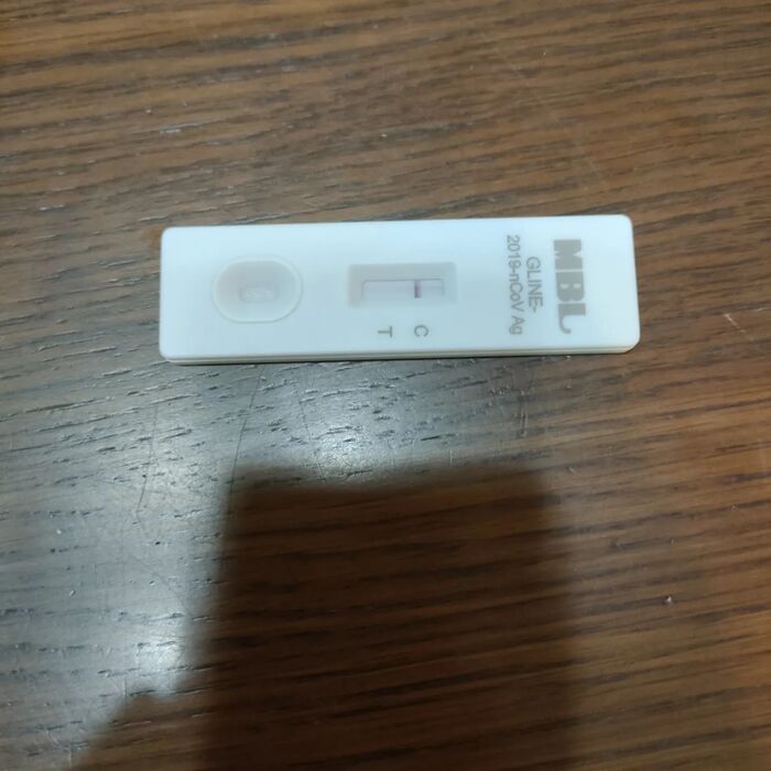 画像254